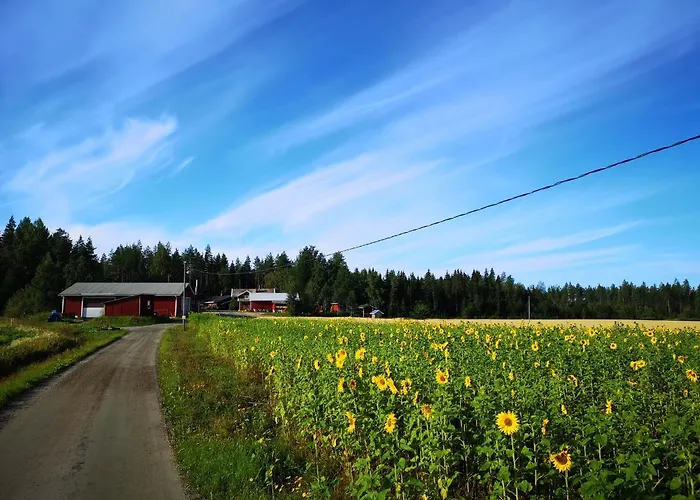 Maatilamatkailu Ilomaeki Seinajoki photo
