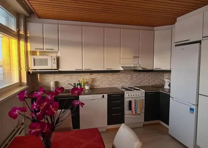 Kattohuoneisto Keskustassa Apartment Lieksa photo