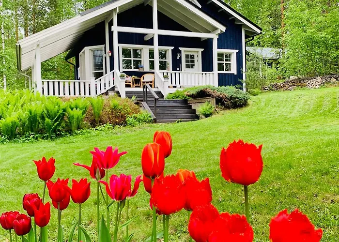 Blueberry Villa At Saimaa Lakeside Taipalsaari照片