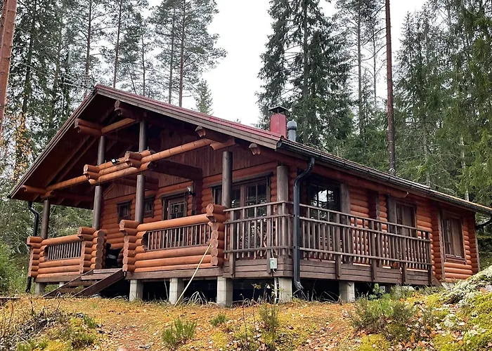 Villa Saimaa Vuoriniemi photo