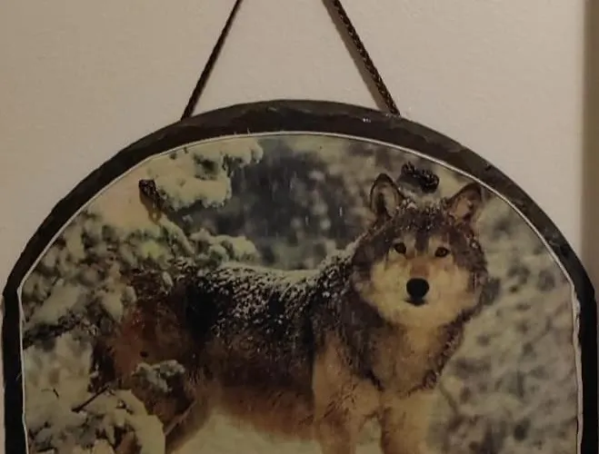 Talo Kainuun Korvessa Kiekinkoskella Villa Kuhmo photo