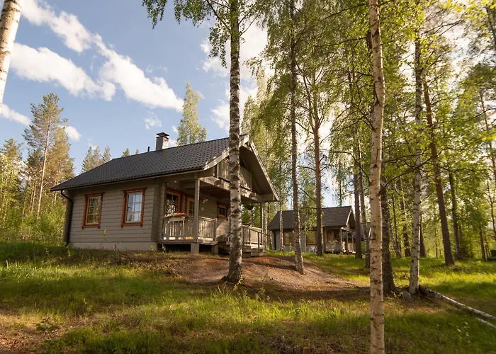 Holiday Village Kukkapaeae Sulkava  photo