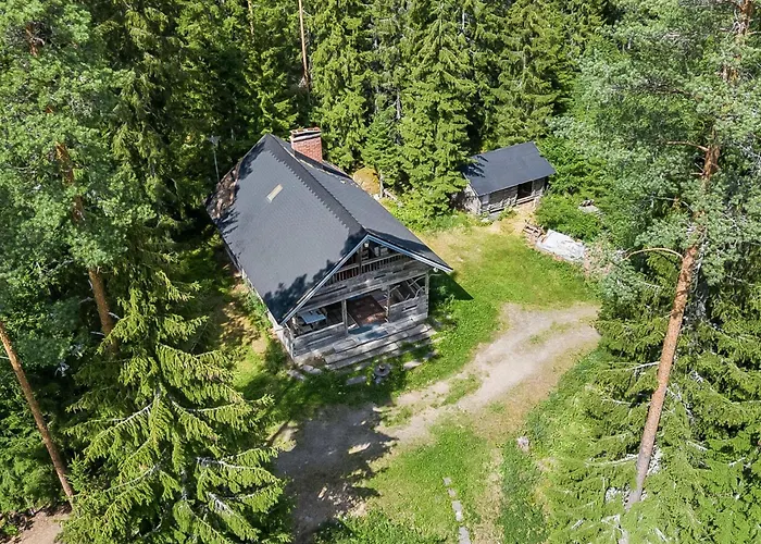 Photo de Holiday Home Passimoekki By Interhome Punkalaidun