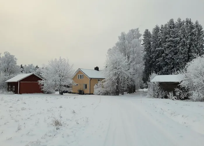 Vanhapaikka Soini照片