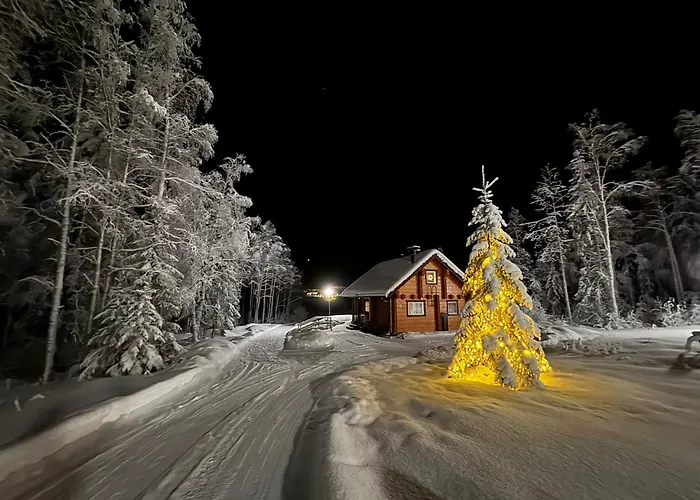 Arctic Log House Hirvas Villa photo