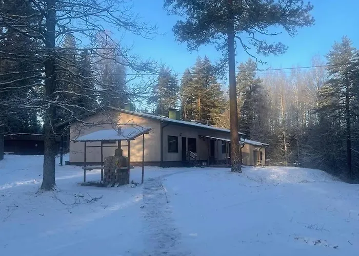Valkjaervi Sauna On The Lake Suur-Miehikkala fotoğrafı