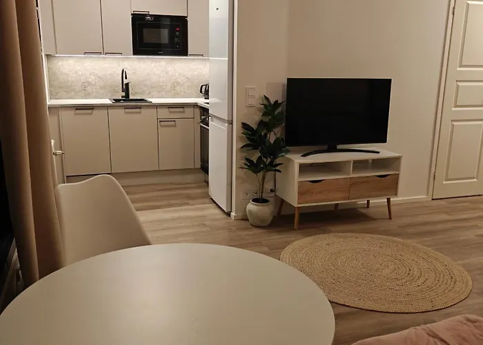 Järvenpää Kaupunkikoti Omalla Saunalla Sekae Laehellae Juna-Asemaa, 100M Wifi תמונה