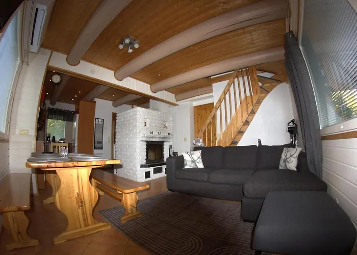 Naere-Levi Cabin 锡尔卡照片