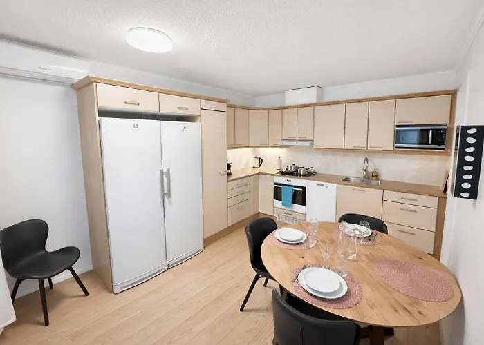 Tallinmaeki Apartments 哈米纳照片