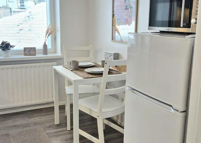 Cozy Studio In The Heart Of The City 哈米纳照片