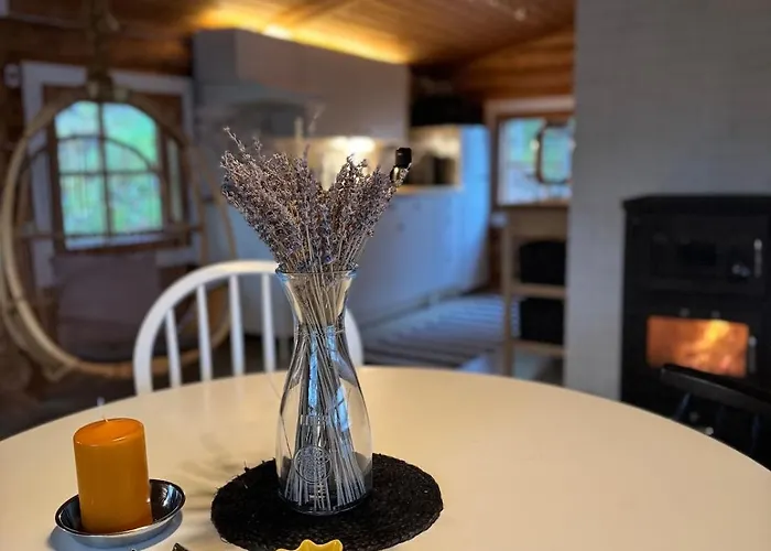 Viihtyisae Hirsimoekki Venturissa Villa Siurlahti foto