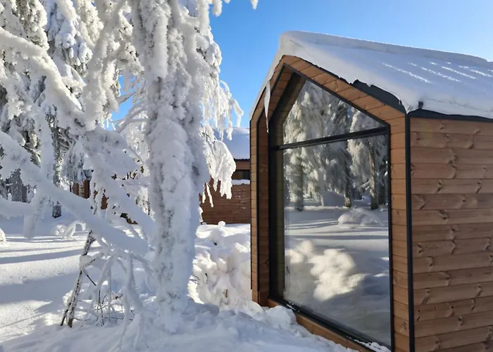 Arctic Nest Forest Cabin Kotilaの写真