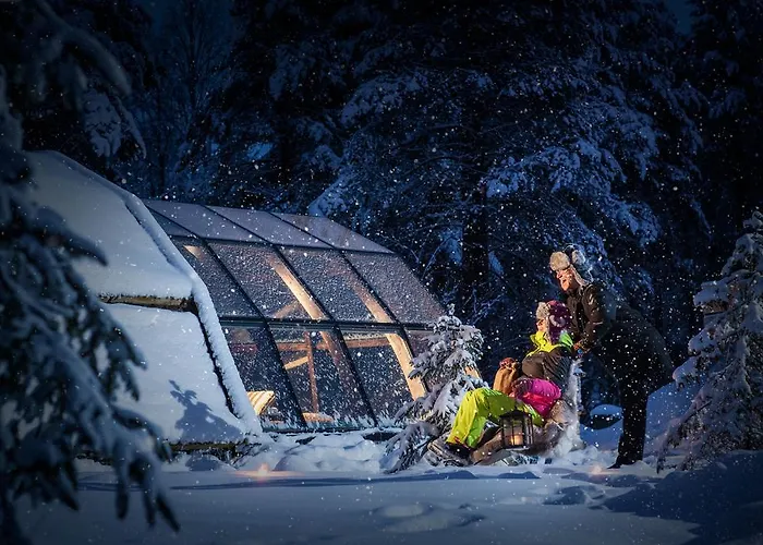 Lapland Igloo Hotel Ranua photo