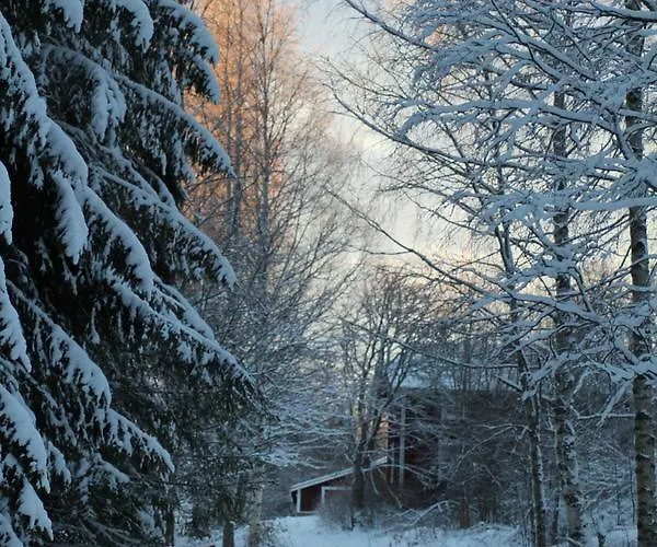 Lamminkangas Cottage Kalmari photo