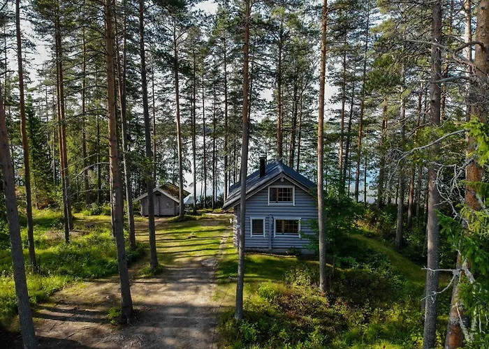 Vacation Home Tulikallio Suonenjoki photo